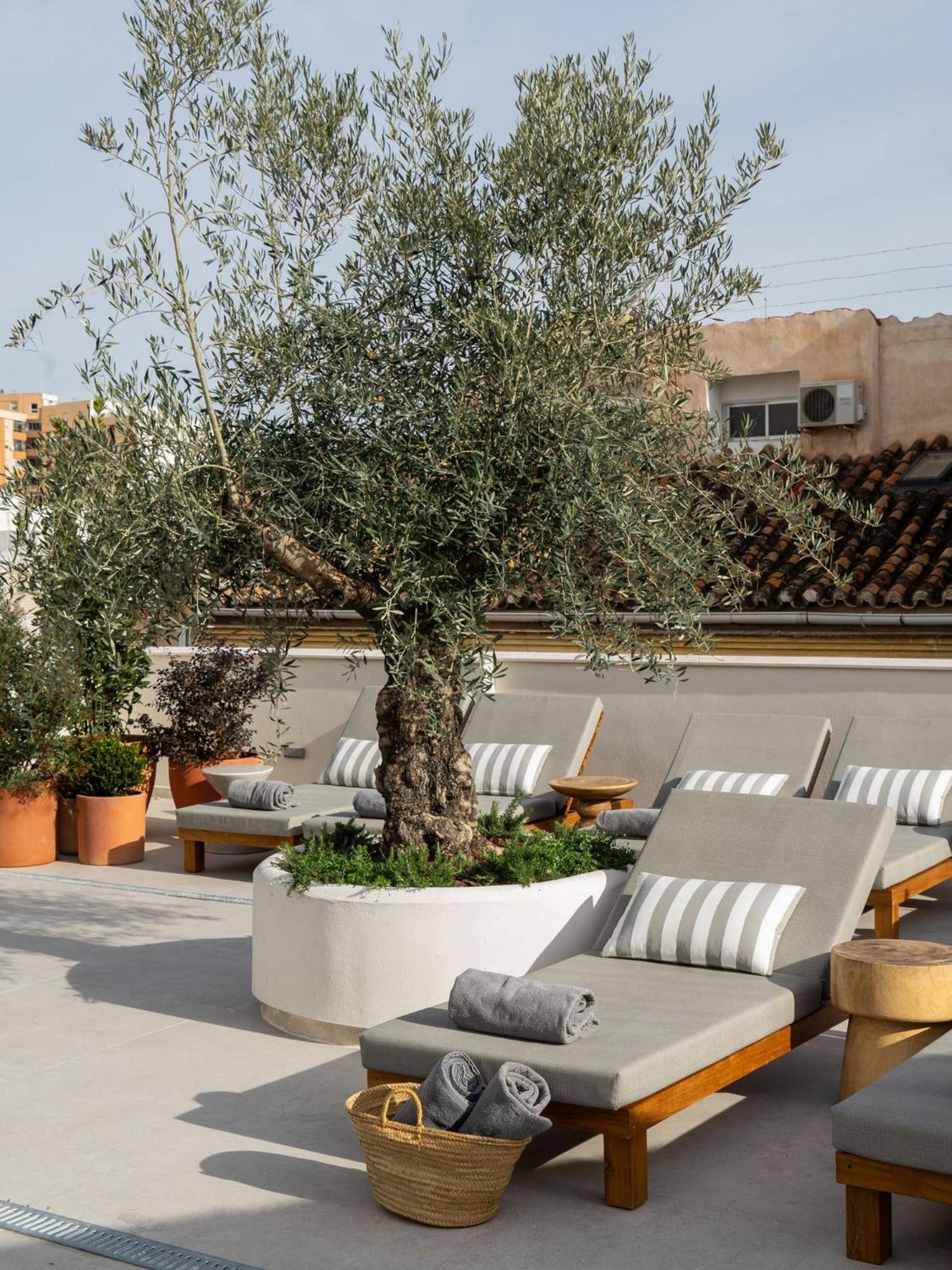Hotel Well And Come Málaga Esterno foto
